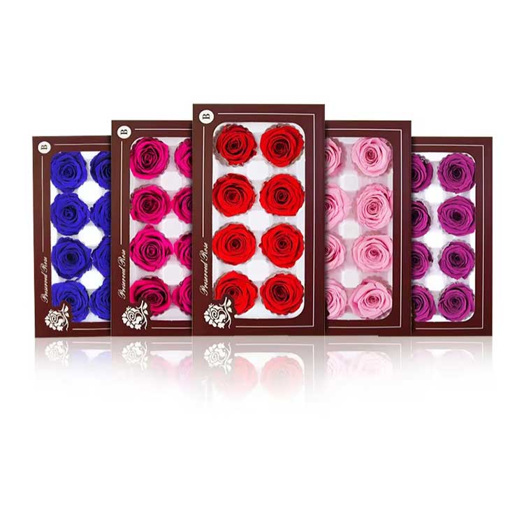 Darilna škatla vrtnic Everlasting Flower z 8 cvetovi