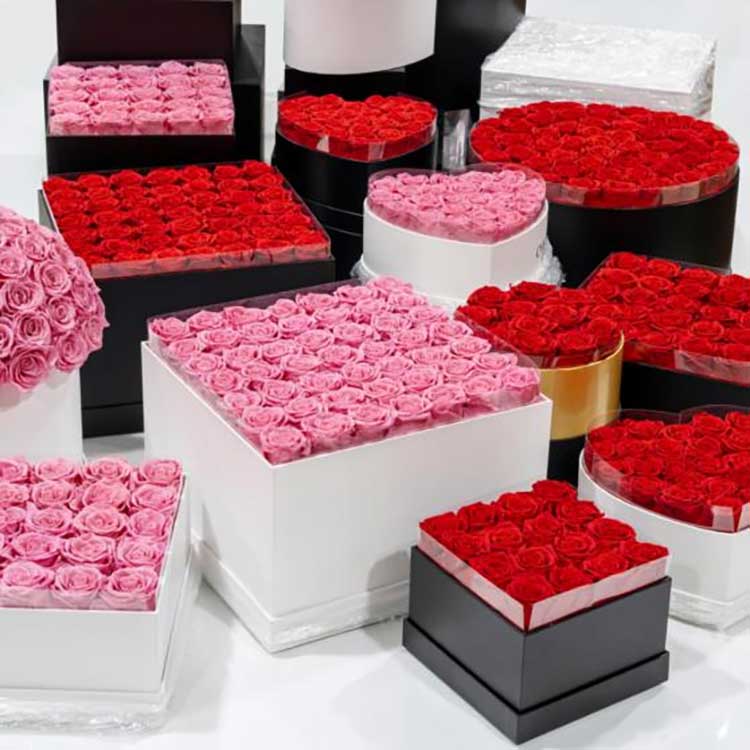 Ohranjeno vedro za objem rož